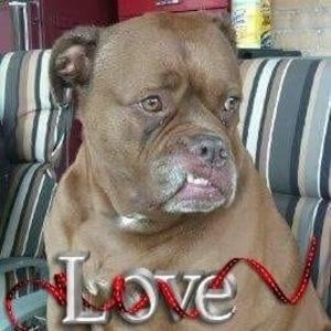 Meet your Posher, Carol